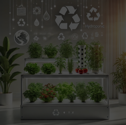 Side-by-side comparison of hydroponic and soil-grown plants showing growth differences