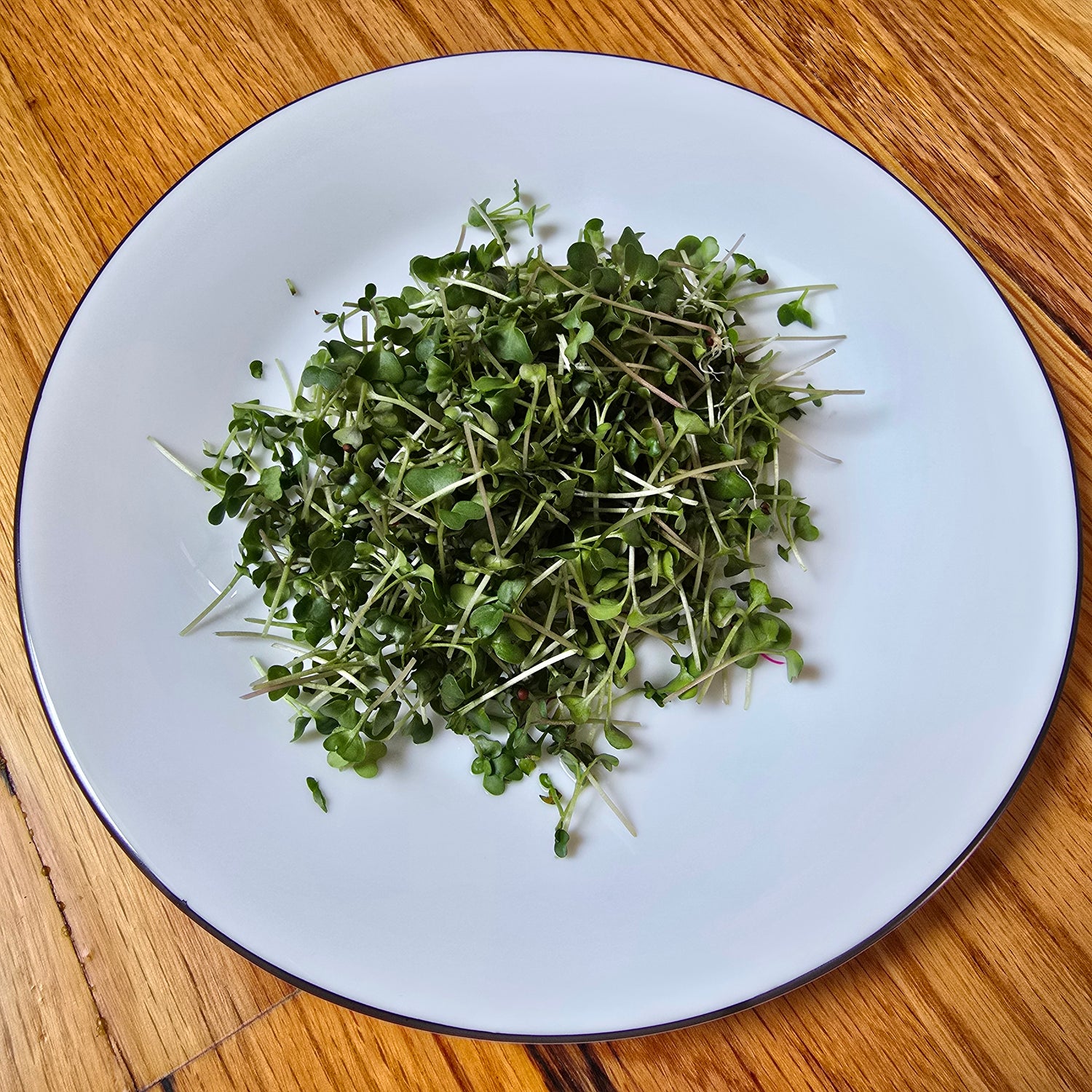 Microgreens on a white plate with a wooden background