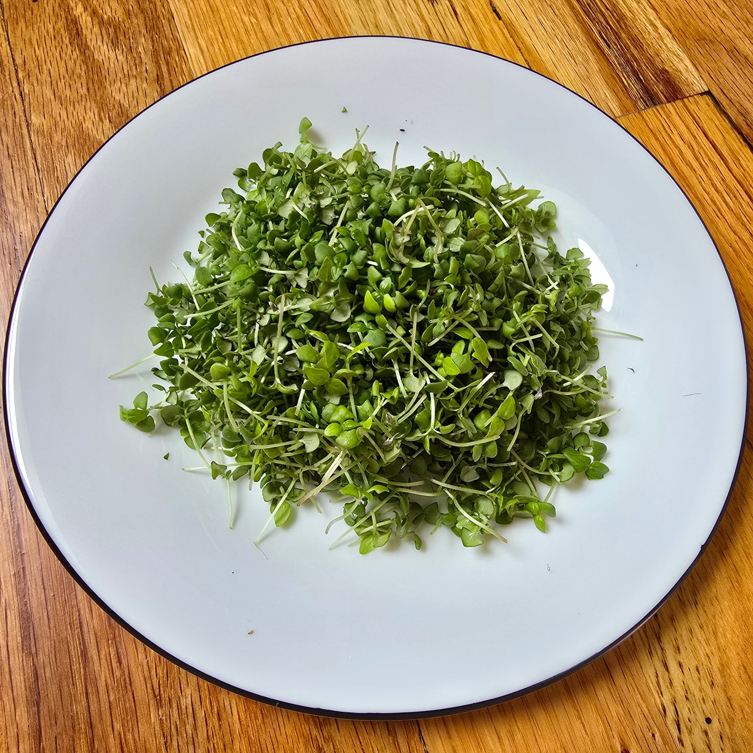 White plate with a pile of green microgreens on a wooden surface