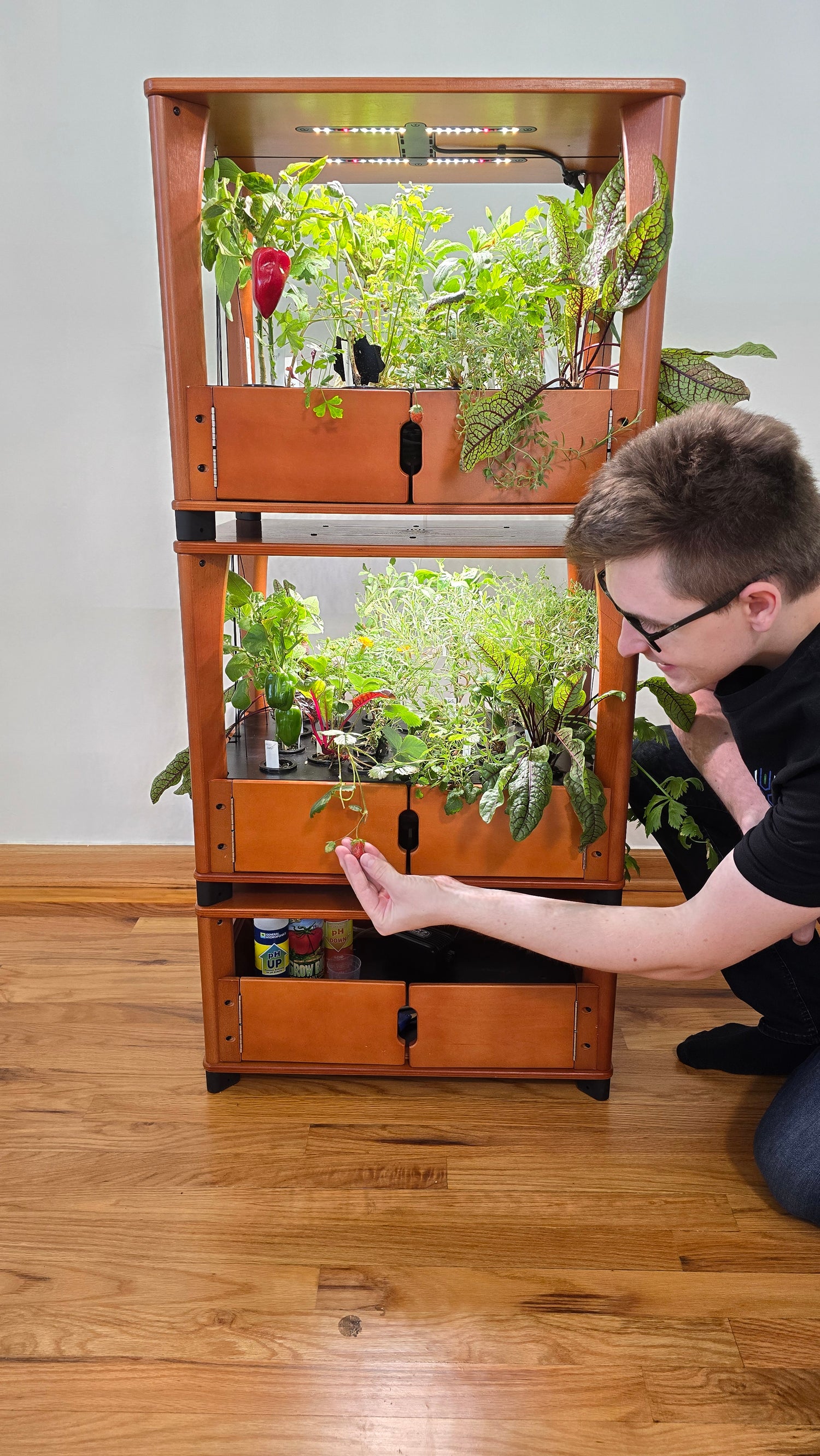 Person interacting with a wooden cabinet with transparent doors displaying plants on a wooden floor.