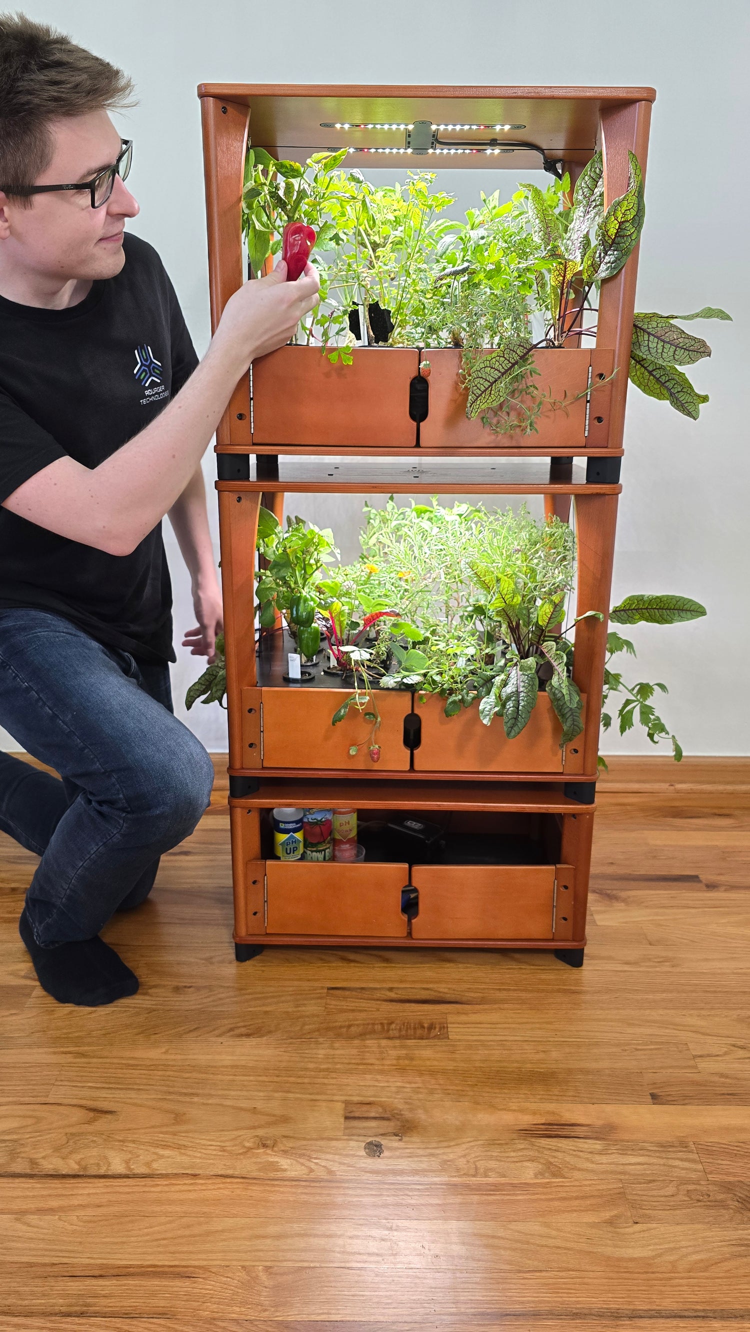 Person interacting with a wooden cabinet filled with plants on a wooden floor.