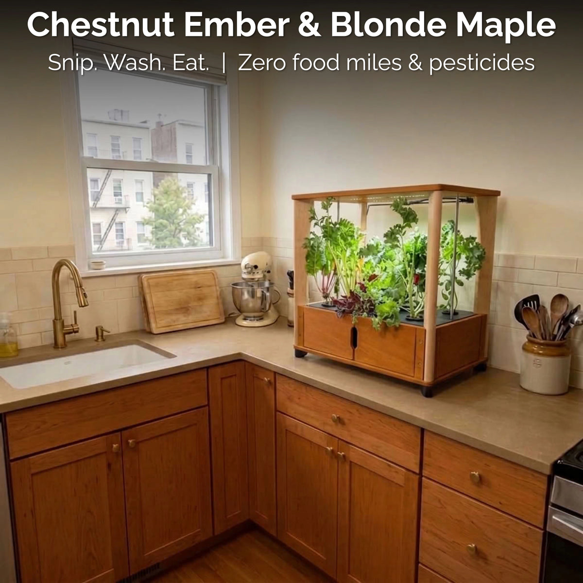 Aquager home farm growing leafy greens in a warm kitchen corner, ready to snip, wash and eat.