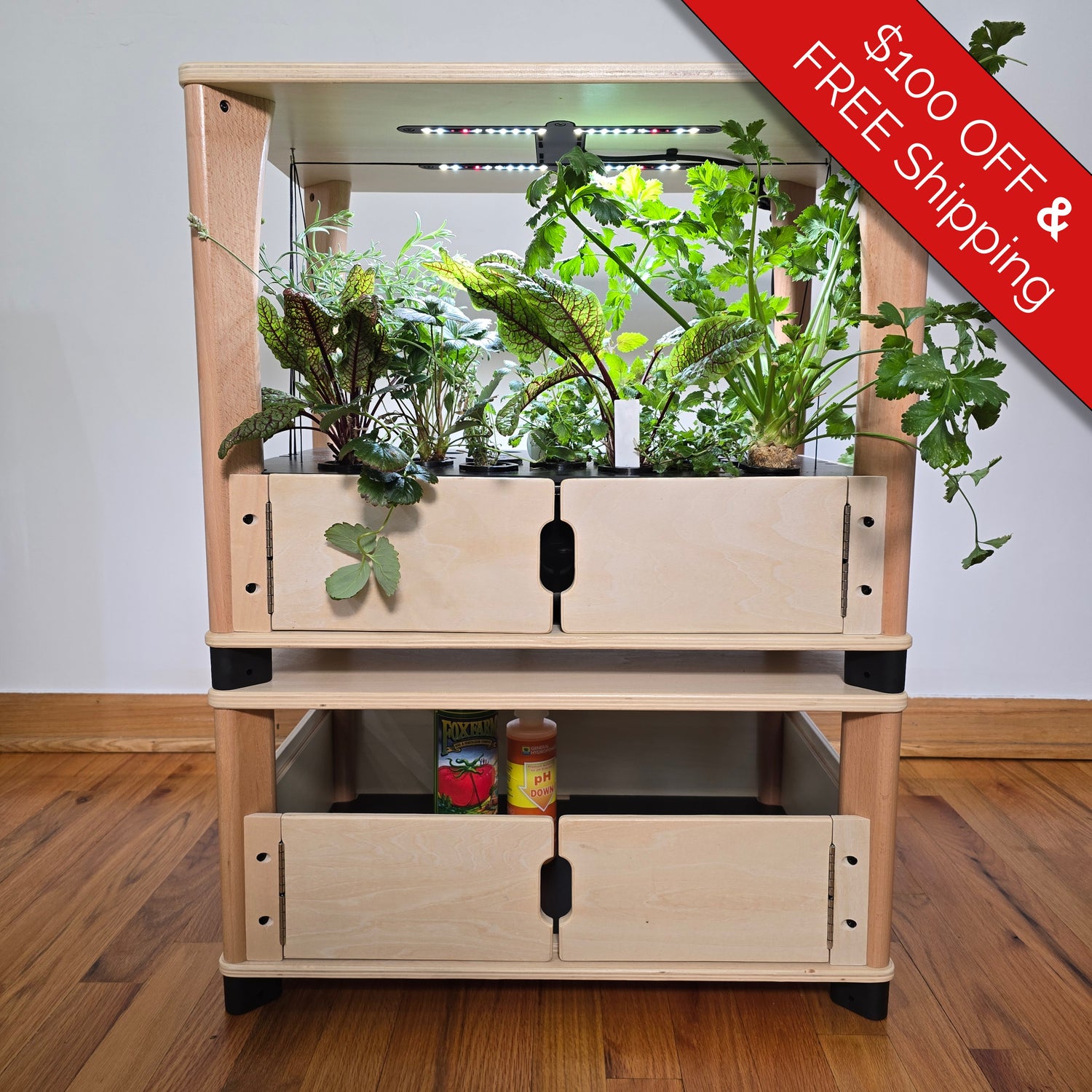 Wooden indoor garden with plants on a wooden floor, promotional banner at top right corner.