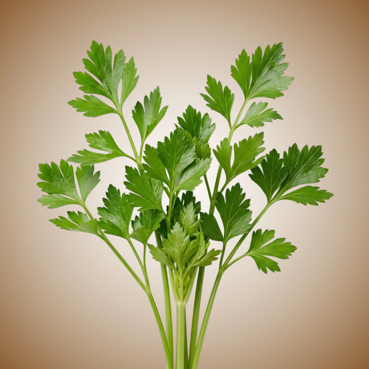 A fresh bunch of green celery with leaves and stems, placed in a clear vase against a white background.