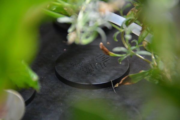 Close-up of Aquager Technologies logo on black hydroponic cup cover surrounded by growing herbs.