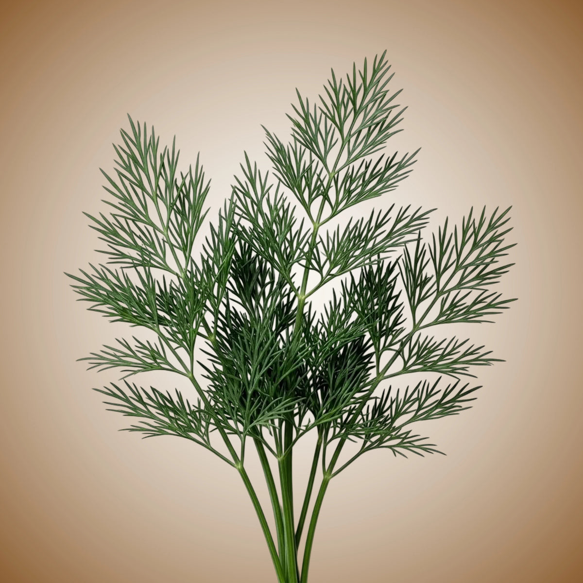 A bouquet of fresh dill with green foliage and yellow flowers.