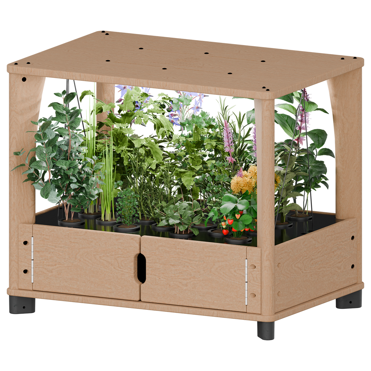 Hydroponic Home Farm