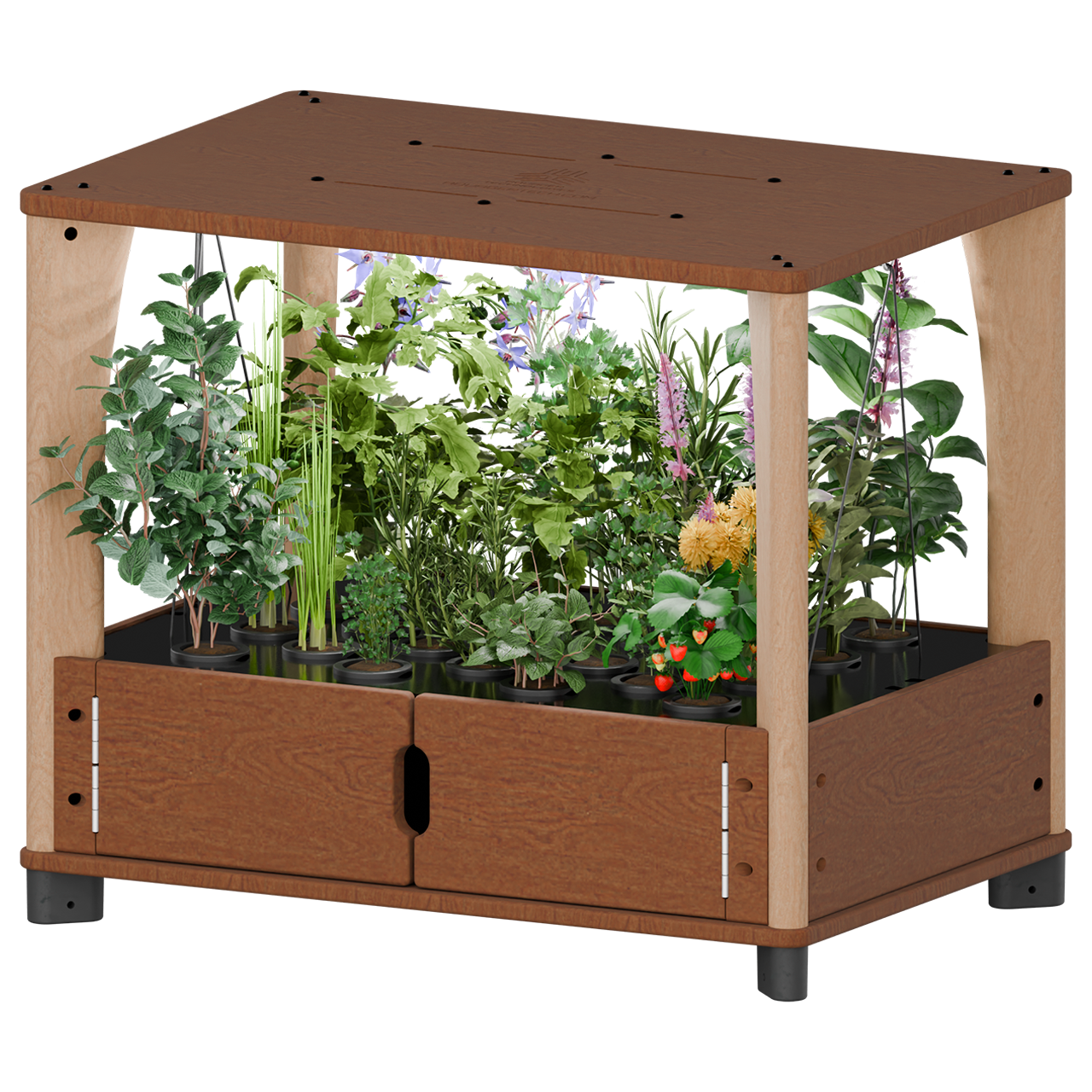 Hydroponic Home Farm