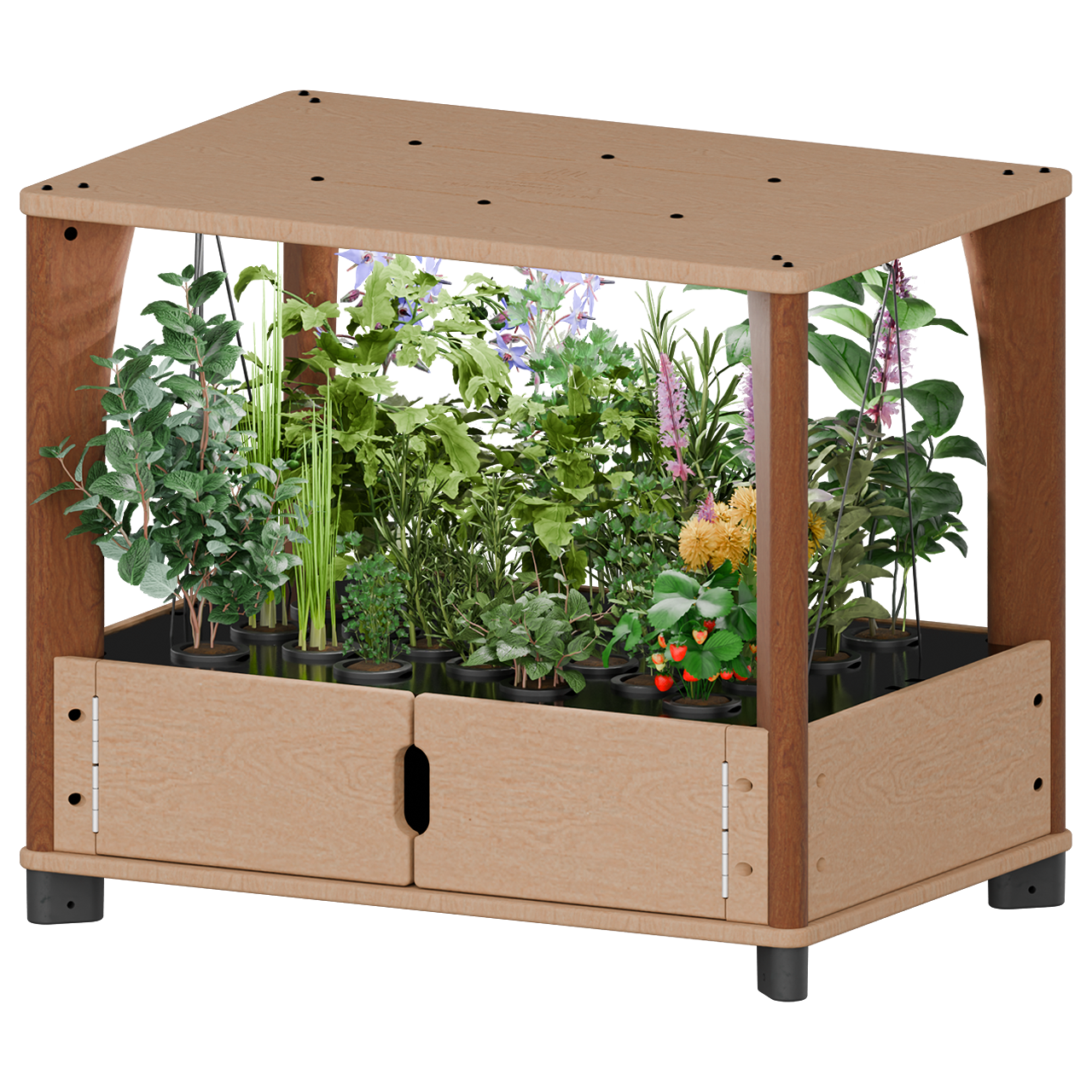 Hydroponic Home Farm