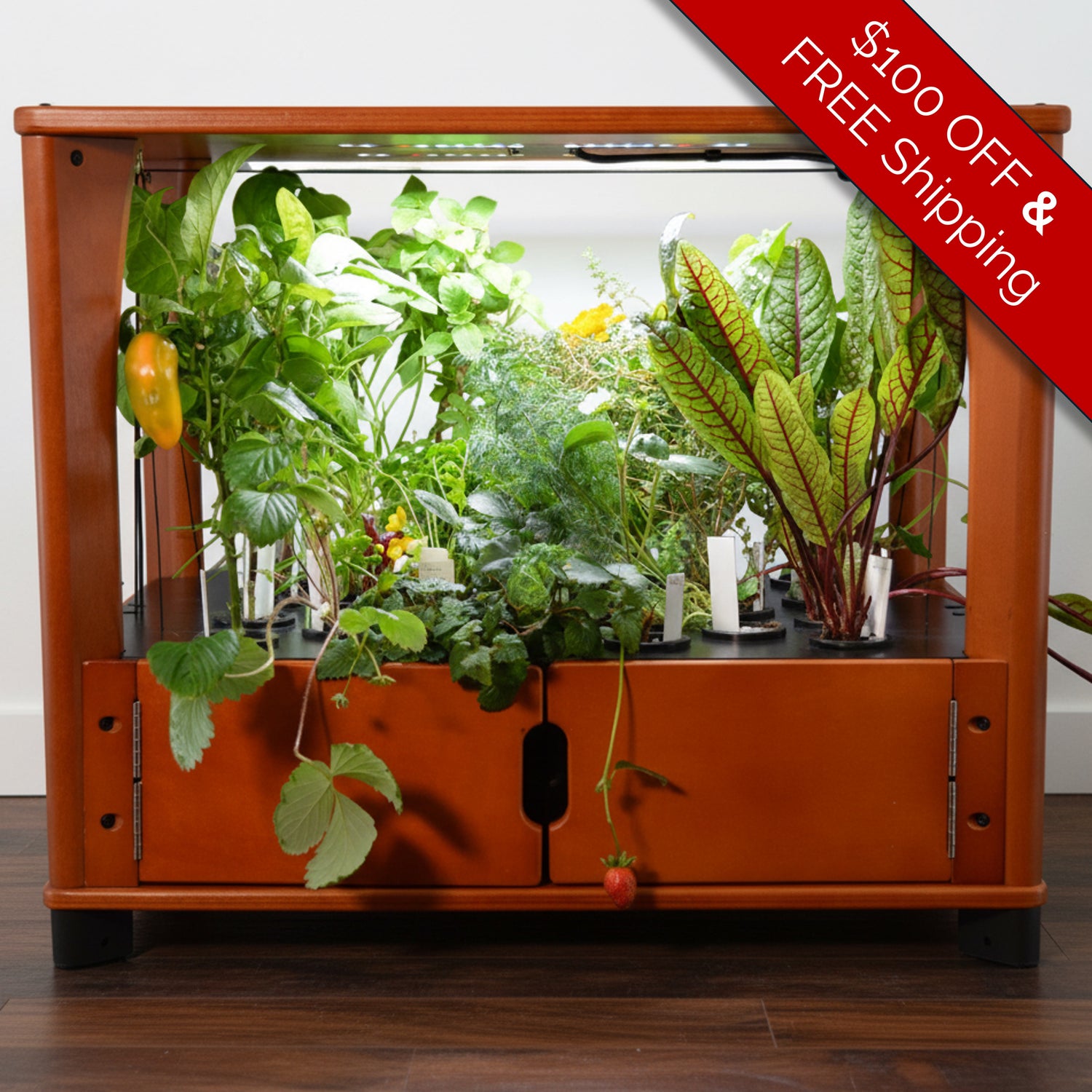 Wooden indoor garden with plants and a promotional banner on a white background