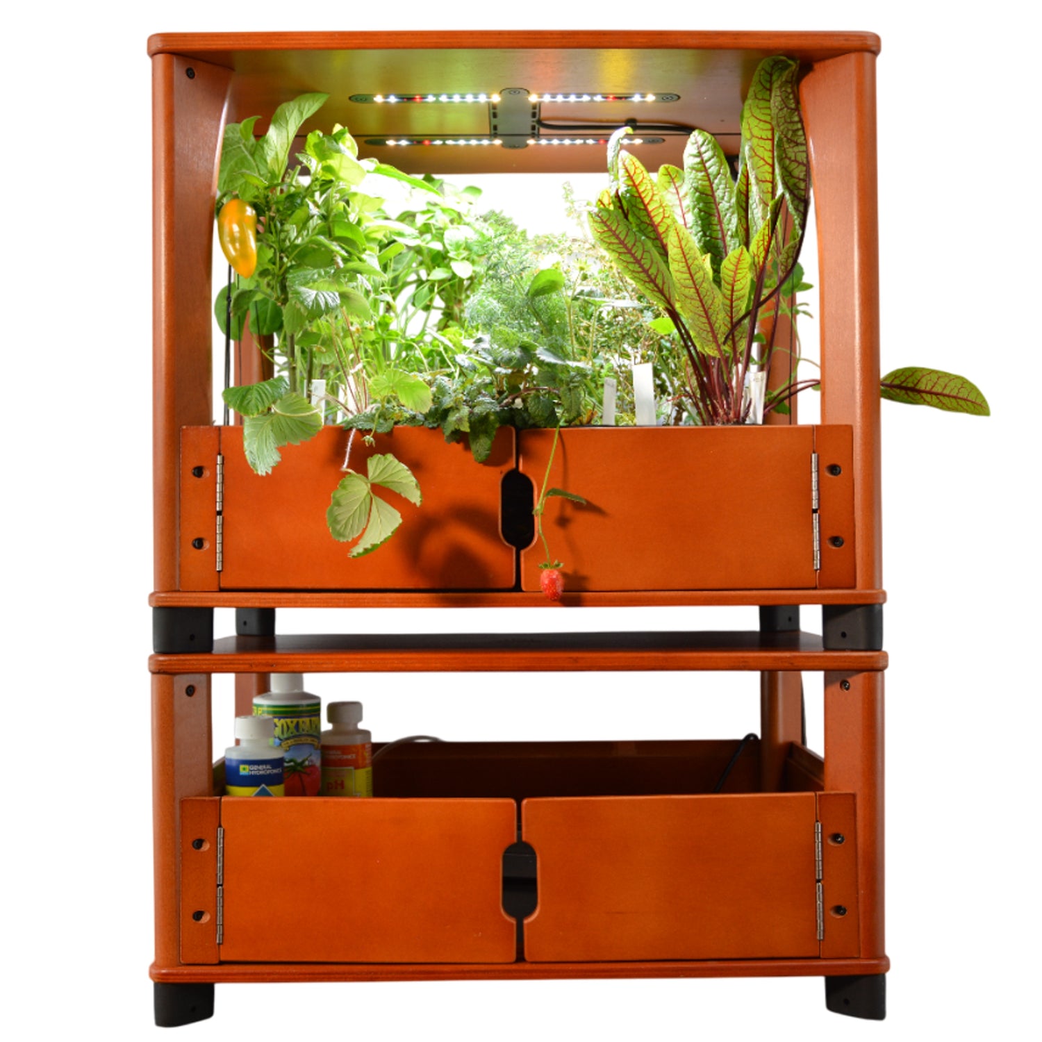 Orange indoor gardening system with plants and LED lights on a white background