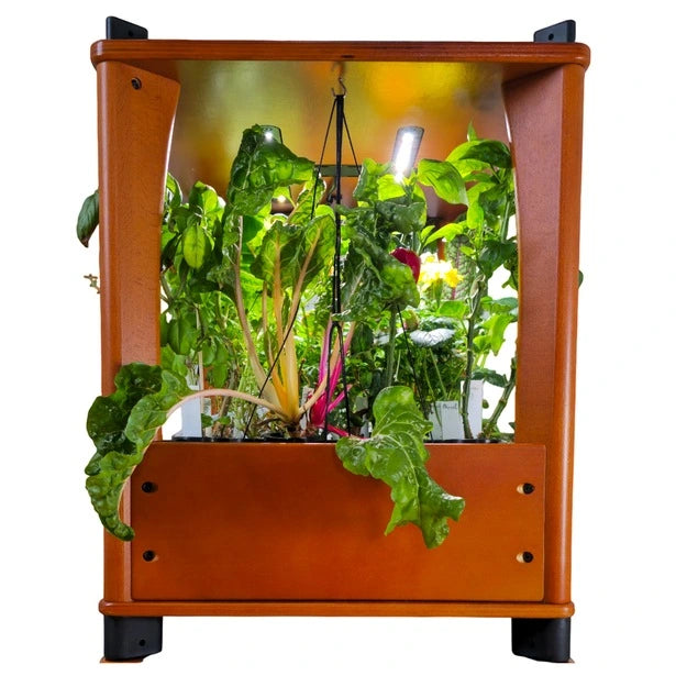 Wooden indoor garden with plants and grow lights on a white background