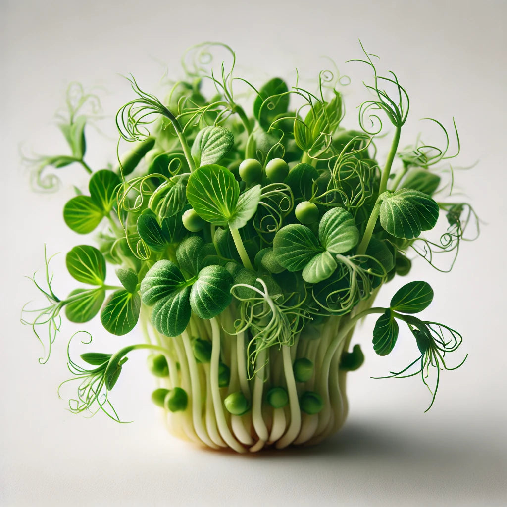 Pea Shoots (Field)