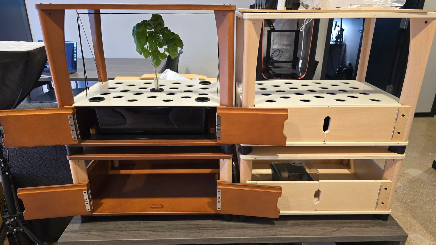 Wooden modular furniture system with shelves and a plant in an office setting
