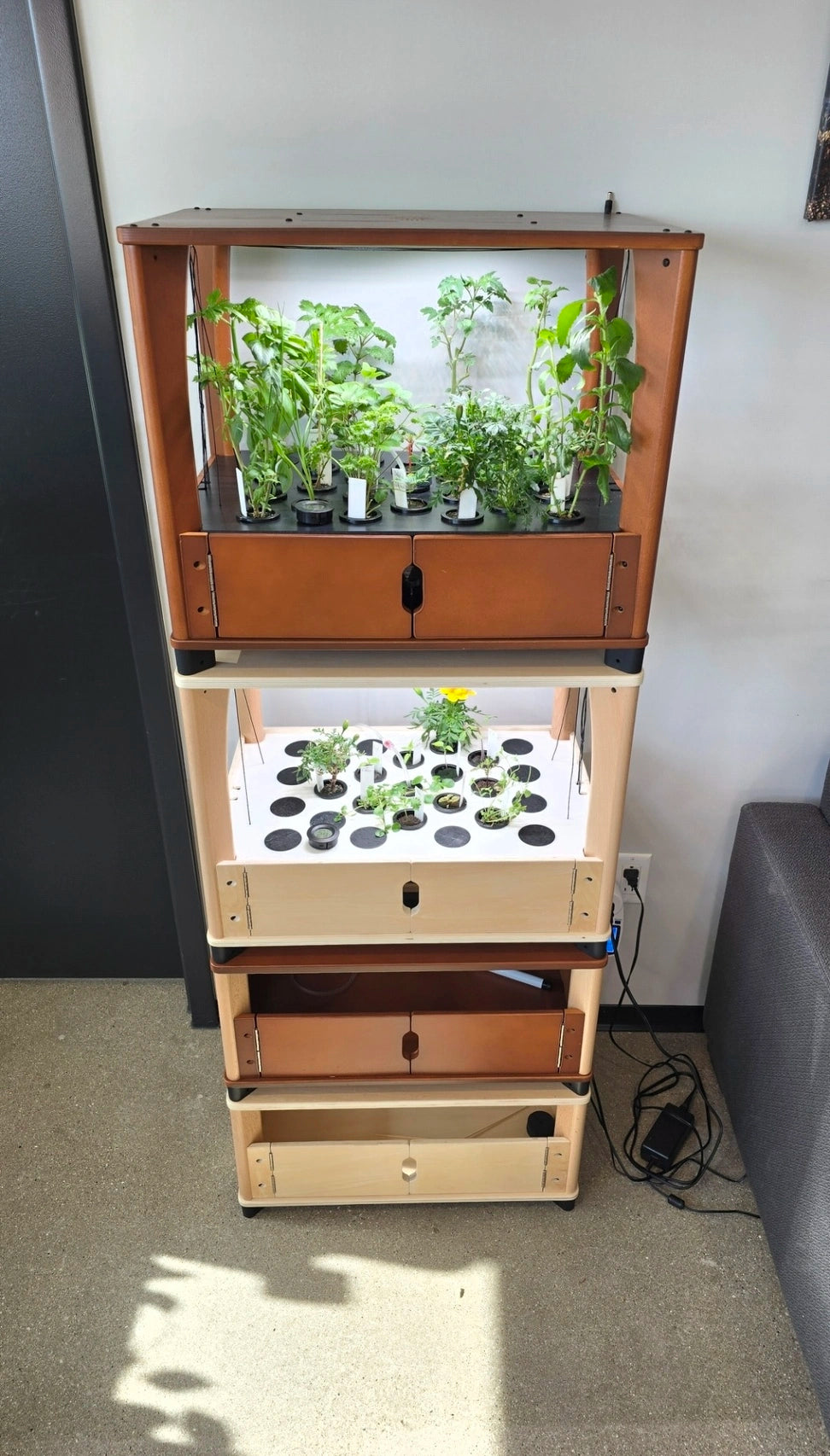 Wooden shelf with plants and gardening equipment against a wall.