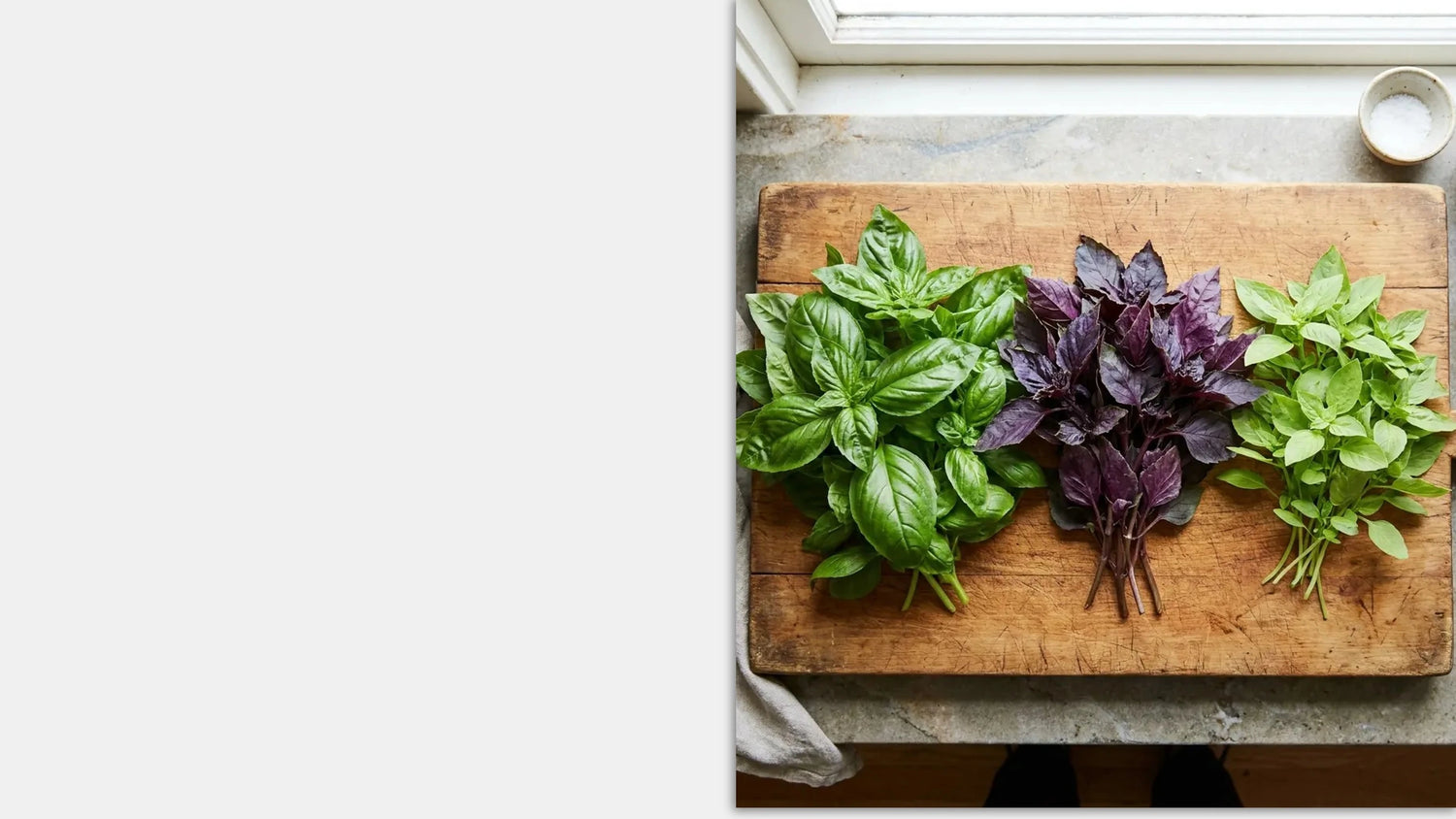 Three basil varieties — Genovese, Red Rubin, and Lime basil grown in hydroponic farm.