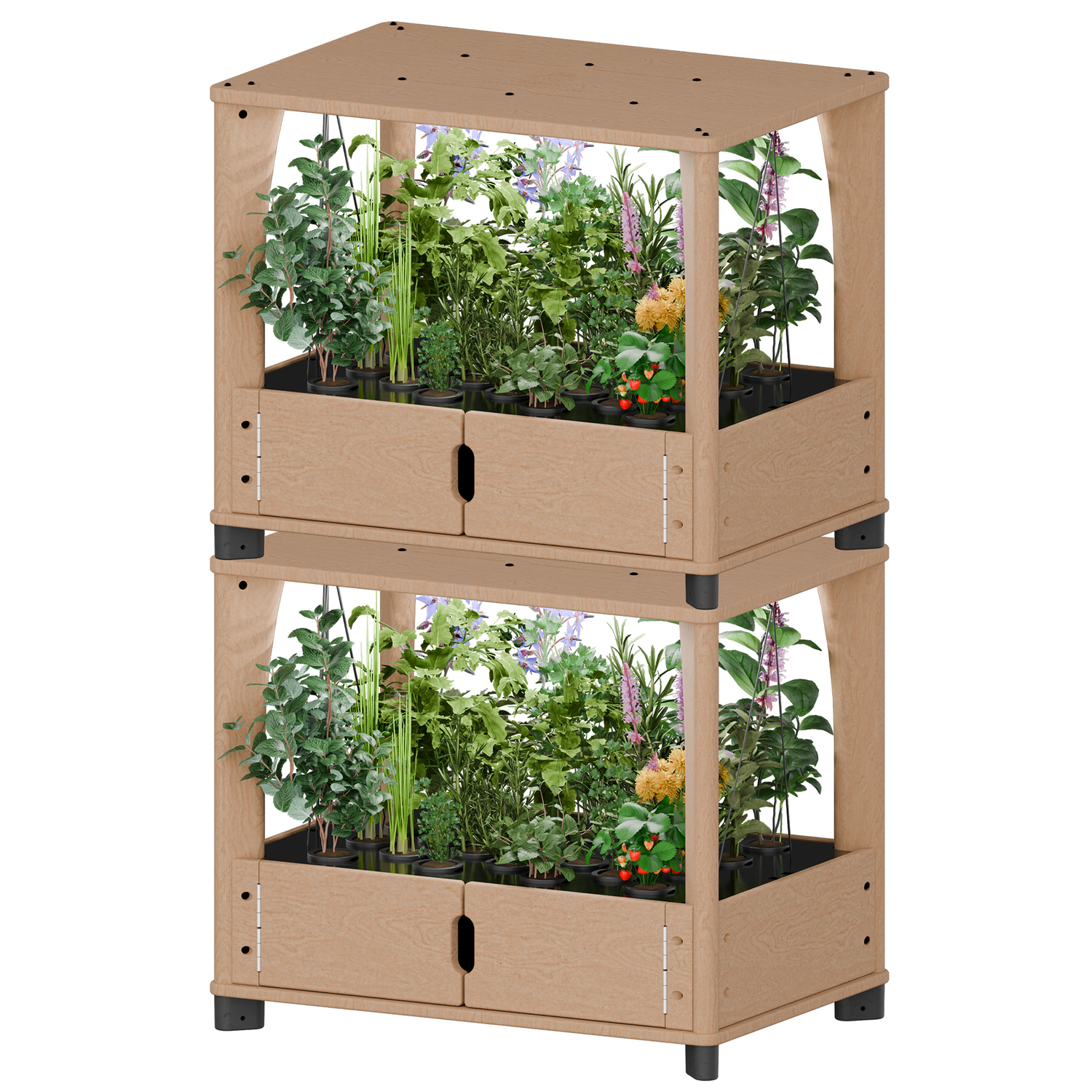 Hydroponic Home Farm
