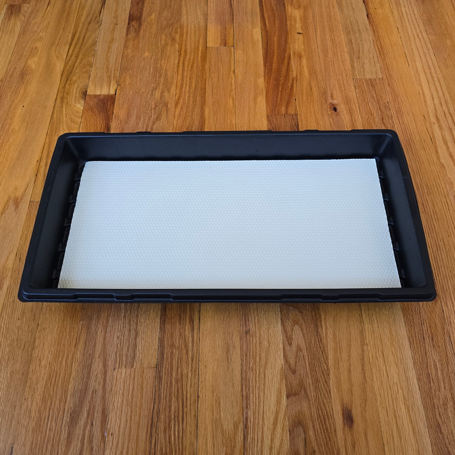 Microgreens Tray (Set of 3)