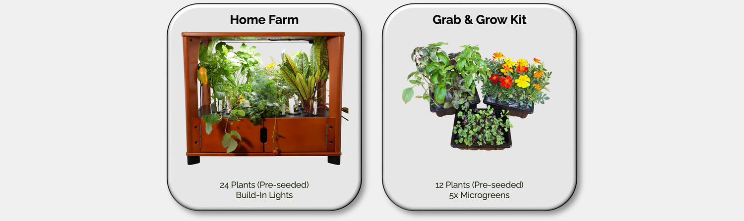 Two product cards showing 'Home Farm' and 'Grab & Grow Kit' with images of plants and text.