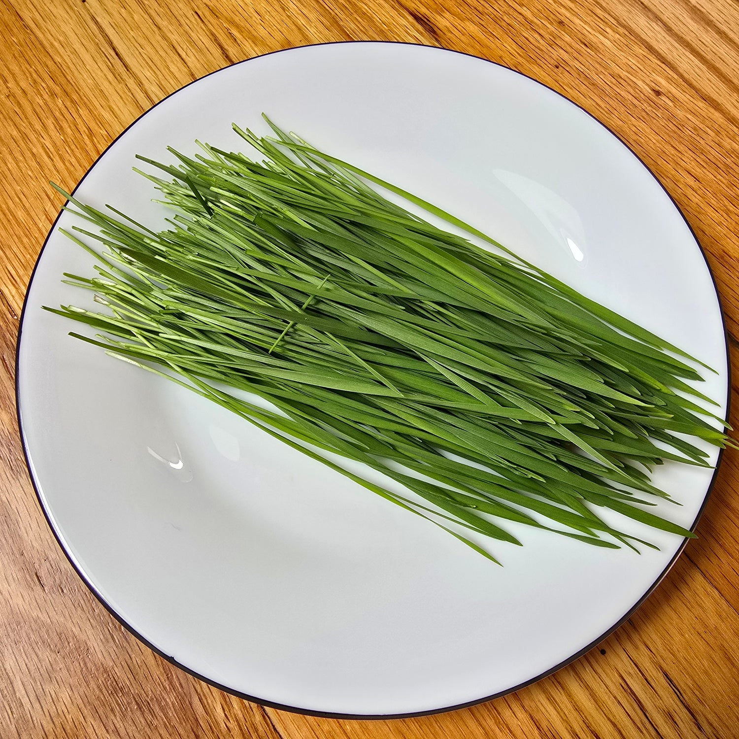Wheat grass on a white plate on a wooden surface.