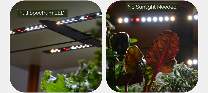 Two images showing LED lights with text 'Full Spectrum LED' and 'No Sunlight Needed', placed above plants.