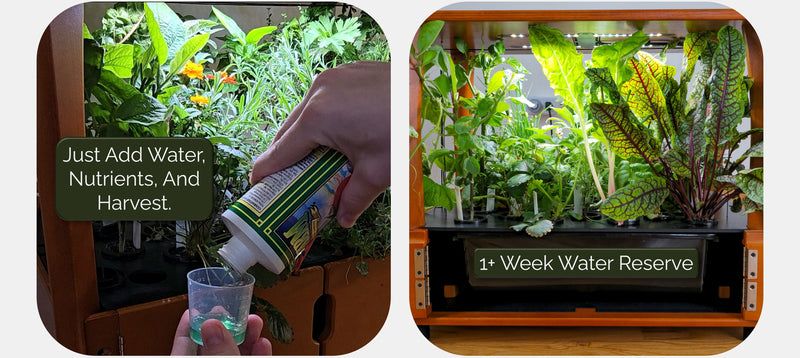 Collage of a hydroponic system with plants and a person adding water, nutrients.