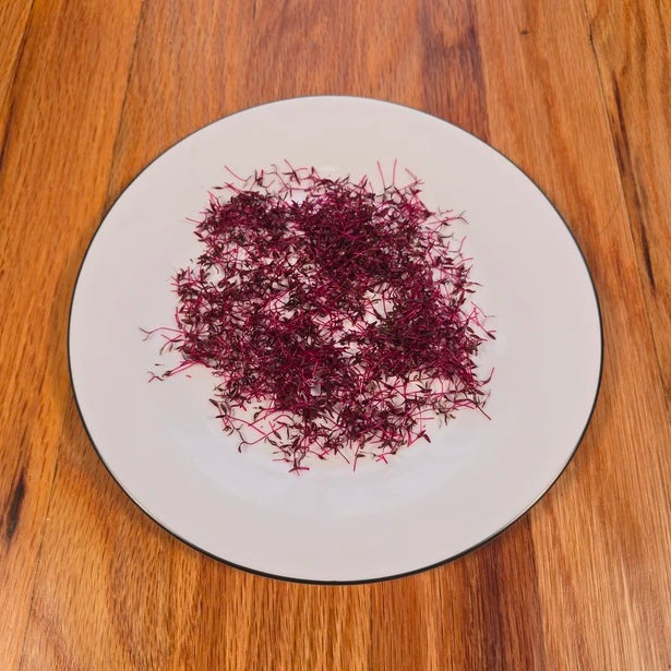 Harvested amaranth microgreens on a plate and wooden service