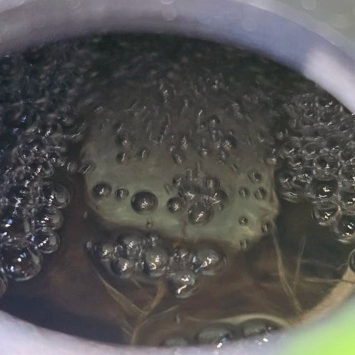 hydroponic 1.5 inch nano air stone with ultra fine bubbles for oxygenating nutrient solution and healthy root growth1