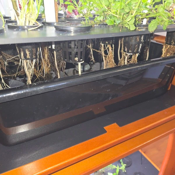 hydroponic 13L water tank replacement reservoir designed for indoor hydroponic home farm systems2