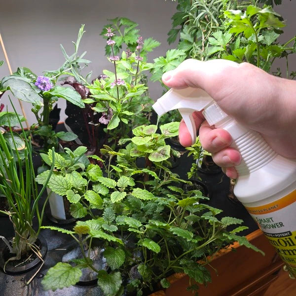 Organic neem oil spray 24oz for hydroponic systems and garden plants, controlling pests and fungal infections safely1