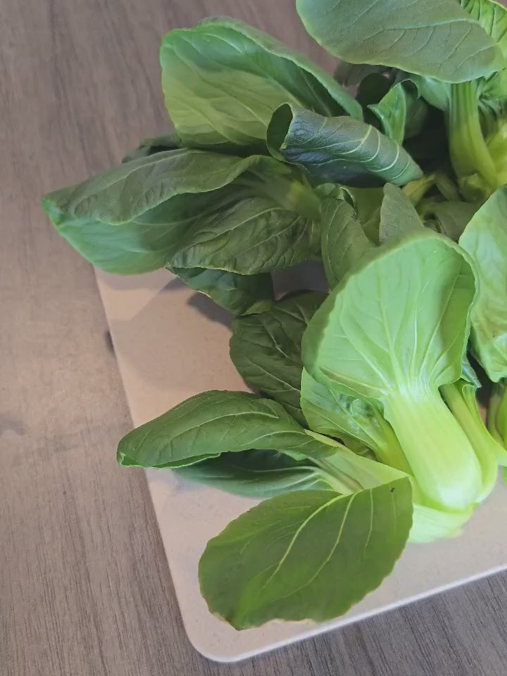 Bok Choy (Little Shanghai) (4x)