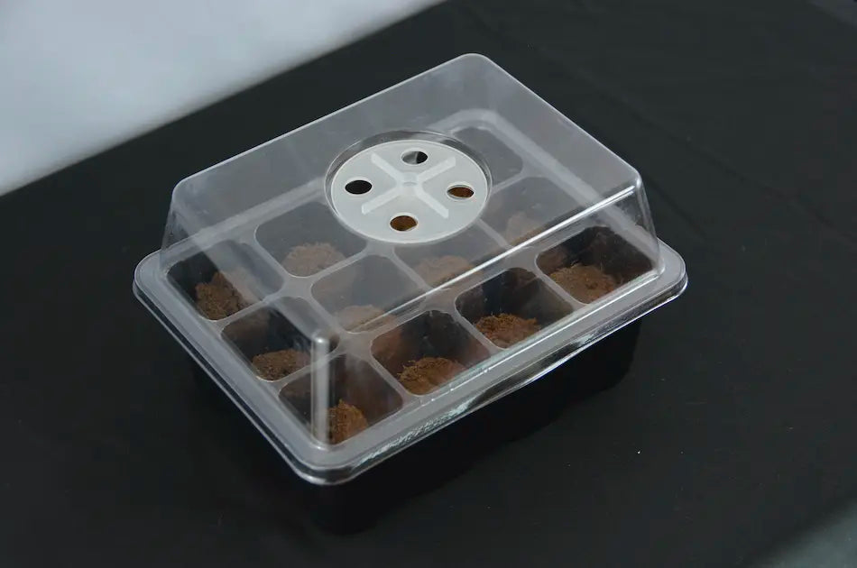 Seed starter tray with humidity dome lid designed for seed germination and indoor plant propagation