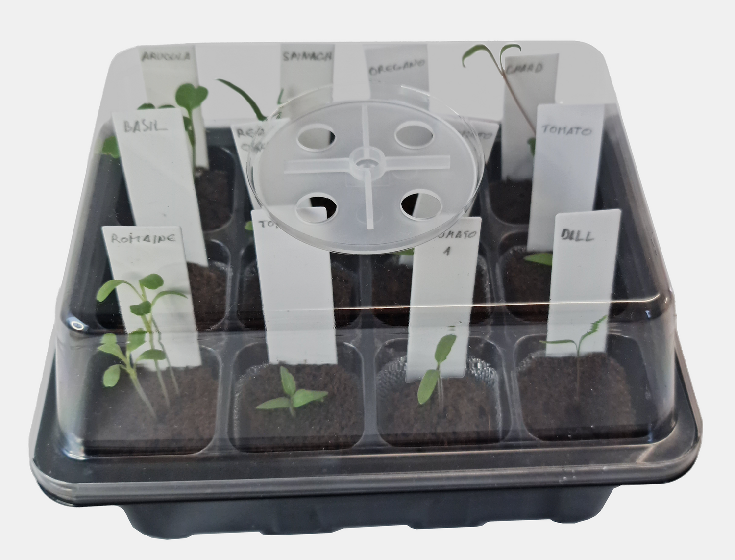 Aquager germination nursery trays with transparent humidity dome for seed starting