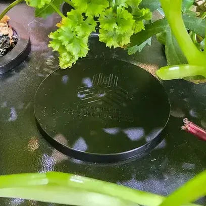 Why Hydroponic Net Pot Covers Matter