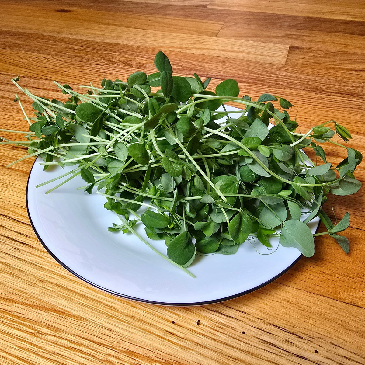 pea shoot microgreens on a white plate with a wooden kitchen background
