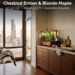 Chestnut Ember and Blonde Maple Aquager home farm with 24 plants on a Chicago kitchen counter, Willis Tower in the window.
