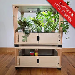 Wooden indoor garden with plants on a wooden floor, promotional banner at top right corner.