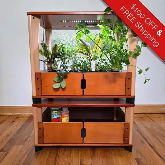 Wooden indoor garden with plants on a wooden floor, promotional banner at top right.