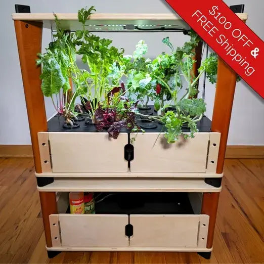 Wooden indoor garden with plants on a wooden floor, promotional banner at top right.