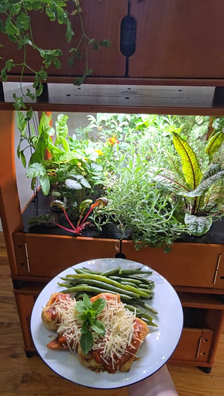 Cooking_with_Aquager_Home_Farm_4