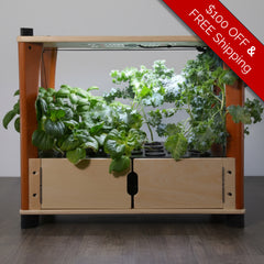 Wooden indoor garden with plants on a wooden floor, promotional text overlay.