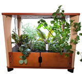 Wooden indoor garden with plants on a white background