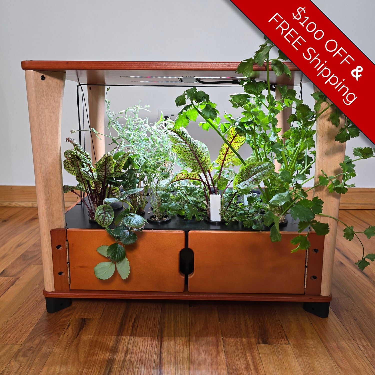 Wooden indoor garden with plants on a wooden floor, promotional banner on top.