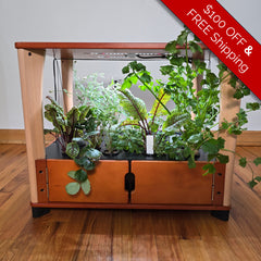 Wooden indoor garden with plants on a wooden floor, promotional banner on top.