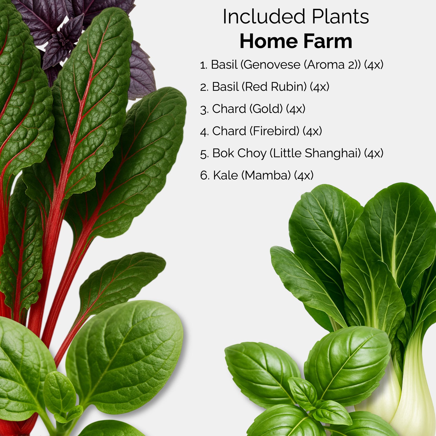 Assorted leafy greens with a list of included plants from Home Farm on a white background.