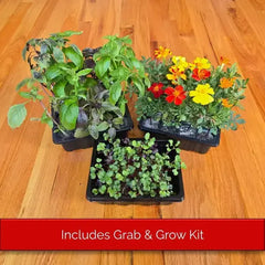 Three trays of plants on a wooden surface with a red banner at the bottom.