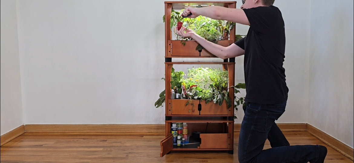 Person using a vertical garden system with plants inside