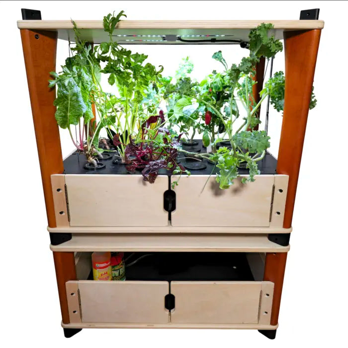 Hydroponic gardening system with plants on a white background