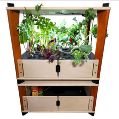 Hydroponic gardening system with plants on a white background