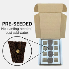 Preseeded grow meedium in a box